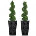 Fixtures Glaze Wave High Gloss LARGE Planter Black Indoor or Outdoor NWT6418