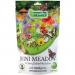 Empathy Mini Meadow Seed 3m Coverage NWT6421