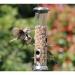 Ambassador Quality Wild Bird Food 1kg NWT6470