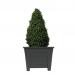 Fixtures Grosvenor Square Planter Black/Ebony 27cm NWT6515