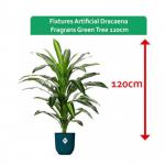 Fixtures Artificial Dracaena Fragrans Green Tree 120cm NWT6587