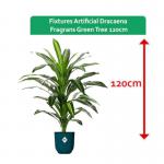 Fixtures Artificial Dracaena Fragrans Green Tree Large 120cm NWT6587