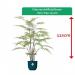 Fixtures Artificial Green Fern Tree 125cm NWT6588