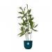 Fixtures Artificial Green Fern Tree 125cm NWT6588