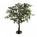 Fixtures Artificial Green Ficus Tree 100cm NWT6589