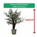 Fixtures Artificial Green Olive Tree 100cm NWT6591