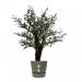 Fixtures Artificial Green Olive Tree 100cm NWT6591