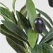 Fixtures Artificial Green Olive Tree 100cm NWT6591