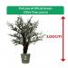 Fixtures Artificial Green Olive Tree 100cm NWT6591