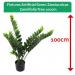 Fixtures Artificial Green Zamioculcas Zamiifolia Tree 100cm NWT6593