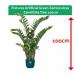 Fixtures Artificial Green Zamioculcas Zamiifolia Tree 100cm NWT6593