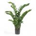 Fixtures Artificial Green Zamioculcas Zamiifolia Tree 100cm NWT6593