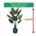 Fixtures Artificial Green Banana Tree 110cm NWT6597