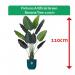 Fixtures Artificial Green Banana Tree 110cm NWT6597