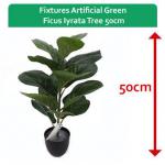 Fixtures Artificial Green Ficus Iyrata Tree 50cm NWT6598