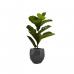 Fixtures Artificial Green Ficus Iyrata Tree 50cm NWT6598