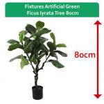 Fixtures Artificial Green Ficus Iyrata Tree 80cm NWT6599