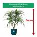 Fixtures Artificial Green Iron Tree 80cm NWT6601