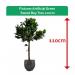Fixtures Artificial Green Sweet Bay Tree 110cm NWT6603