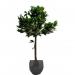 Fixtures Artificial Green Sweet Bay Tree 110cm NWT6603