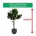 Fixtures Artificial Green Sweet Bay Tree 110cm NWT6603