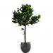 Fixtures Artificial Green Sweet Bay Tree 110cm NWT6603