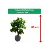 Fixtures Artificial Green Polyscias Tree 80cm NWT6604