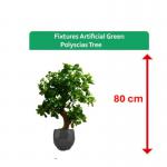 Fixtures Artificial Green Polyscias Tree 80cm NWT6604