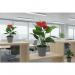 Fixtures Artificial Green & Red Leaves Plant 40cm NWT6606