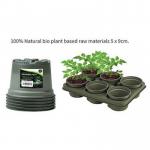 The photo shows five 9cm biodegradable growing pots by Garland Products Ltd, perfect for garden maintenance. The pots have a brown color and are filled with soil, with small sprouts beginning to grow out of them. The packaging has the companys logo and name prominently displayed.