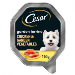 Image of Cesar Garden Terrine With Chicken Garnished with Garden Vegetables