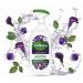 Zoflora Midnight Blooms Trigger 800ml NWT6723