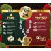 Westland 2 in1 Buxus Feed and Protect 2x500ml NWT6948