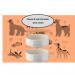 Mason Cash Quality Heavy Duty Stoneware Pet Bowls in Cream 15cm - PACK (3) NWT6954P