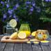Prices Citronella Tea Lights 25s NWT7007