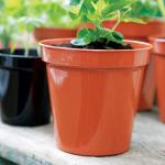 Stewart Garden 30.5cm (12inch) Flower Pots Terracotta - PACK (10) NWT7013P