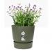 Elho Greenville Round INDOOR Pot & Base GREEN 20cm - PACK (5) NWT7025P