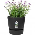 The photo captures a minimalist design of the Elho Greenville Round INDOOR Pot & Base, with clean lines and a sleek black finish. The addition of fresh green plants in the pot adds a touch of nature to any indoor space. The pack includes 5 pots, each measuring 20cm in diameter.