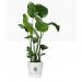 Elho Greenville Round INDOOR Pot & Base WHITE 30cm NWT7032