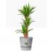 Elho Greenville Round INDOOR Pot & Base LIVING CONCRETE 30cm NWT7034