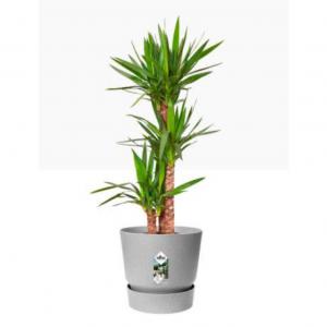 Elho Greenville Round INDOOR Pot & Base LIVING CONCRETE 30cm -