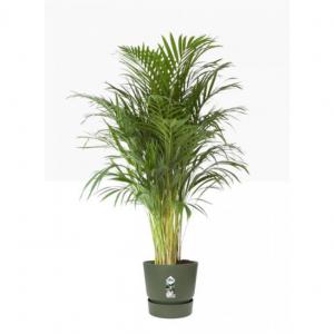 Elho Greenville Round Pot & Base LEAF GREEN 40cm NWT7037