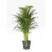 Elho Greenville Round INDOOR Pot & Base GREEN 40cm NWT7037