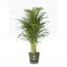 Elho Greenville Round Pot & Base LEAF GREEN 40cm NWT7037
