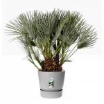 Elho Greenville Round INDOOR Pot & Base LIVING CONCRETE 40cm NWT7038