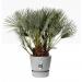 Elho Greenville Round INDOOR Pot & Base LIVING CONCRETE 40cm NWT7038