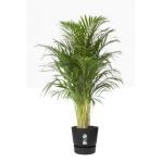 Elho Greenville Round Pot & Base LIVING BLACK 40cm NWT7039