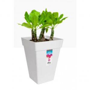Elho Loft Urban Square High WHITE 37cm - PACK 5 NWT7042P