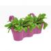 Elho Corsica Easy Hanger Trio VIVID VIOLET Planter NWT7045