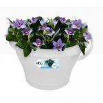 Elho Corsica Drainpipe Clicker Flower Pot 24cm WHITE NWT7047